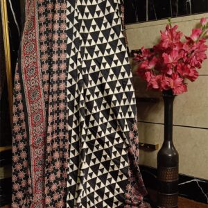 ~ Ajrakh Jaal ~ Black & White Satin Silk Saree