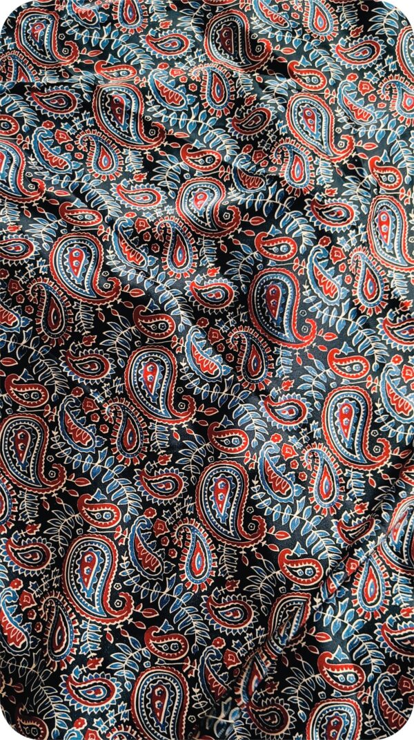 ~ Ajrakh Jaal ~ Brick Red Satin Silk Saree - Image 4