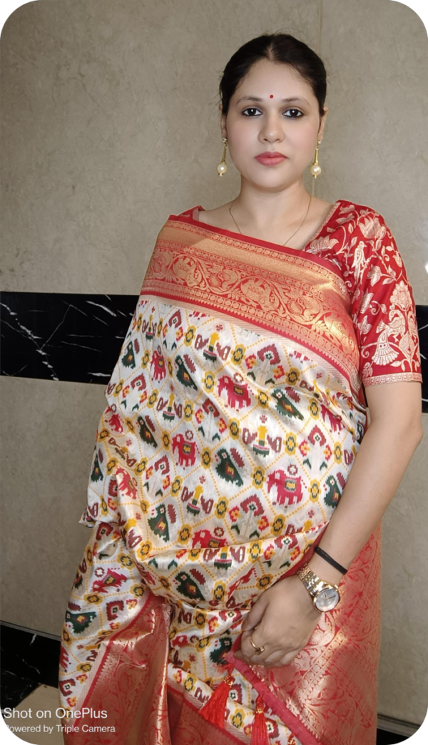~ Bhanumati ~ Off White Patola Silk - Image 5