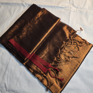 ~ Raga ~ Copper Tissue Silk Saree